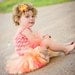 Tutu Baby Toddler Girl Tutu - Tropical Sunset Summer Tutu - 6 Months to 5T - Matching Satin Flower Clip