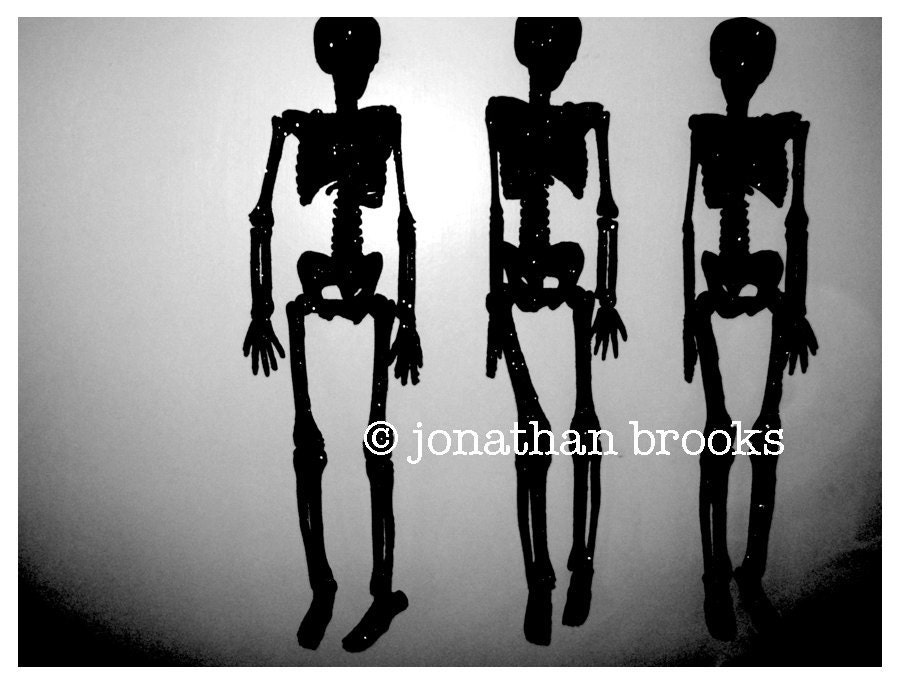 Tres Eskeletos (Dia de los Muertos, Day of the Dead)