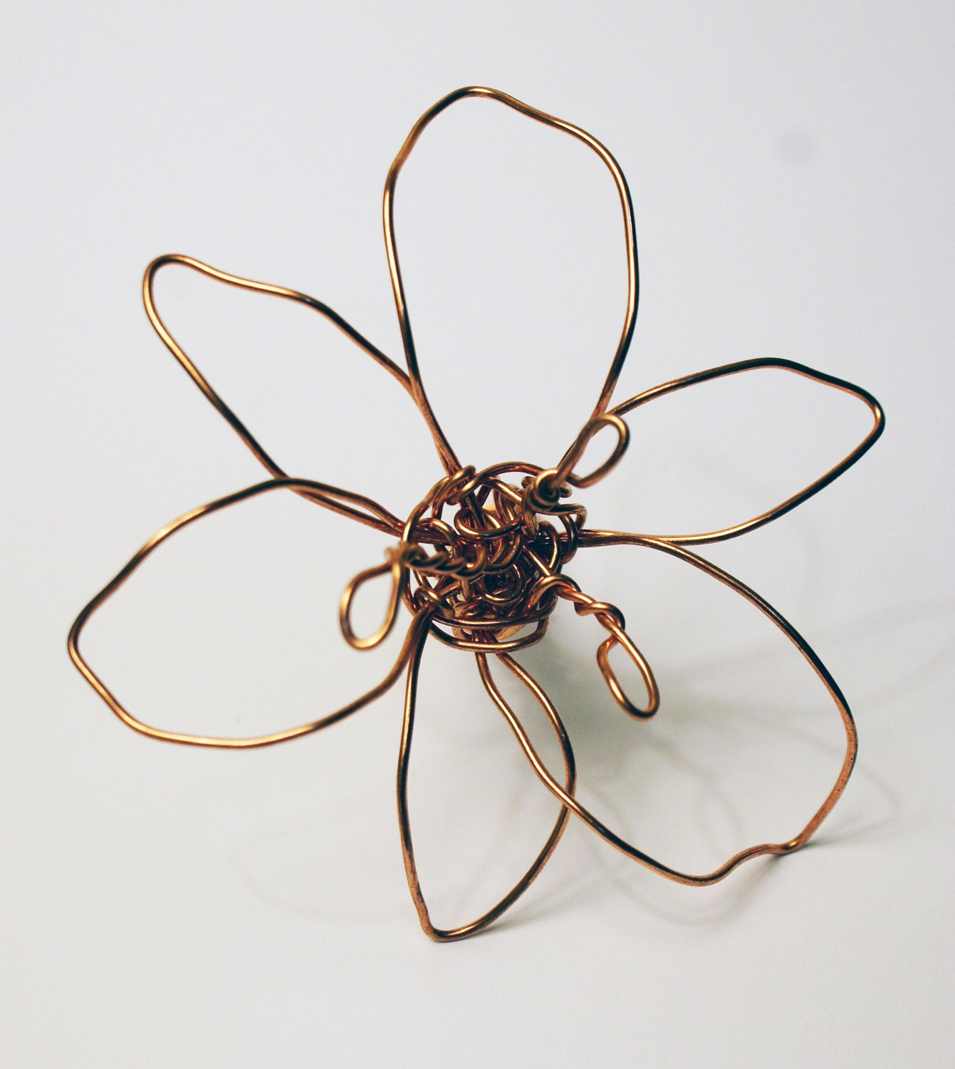 Large Copper Lily