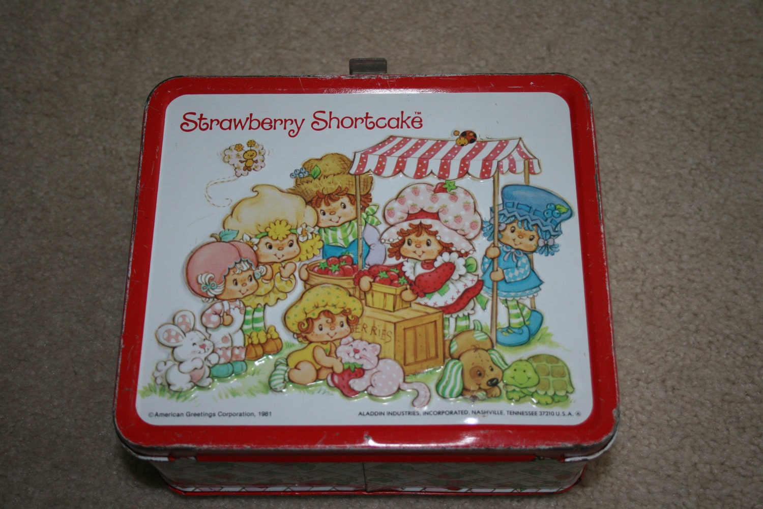 Vintage Strawberry Shortcake Metal Lunch Box with Thermos 1981 American Greetings