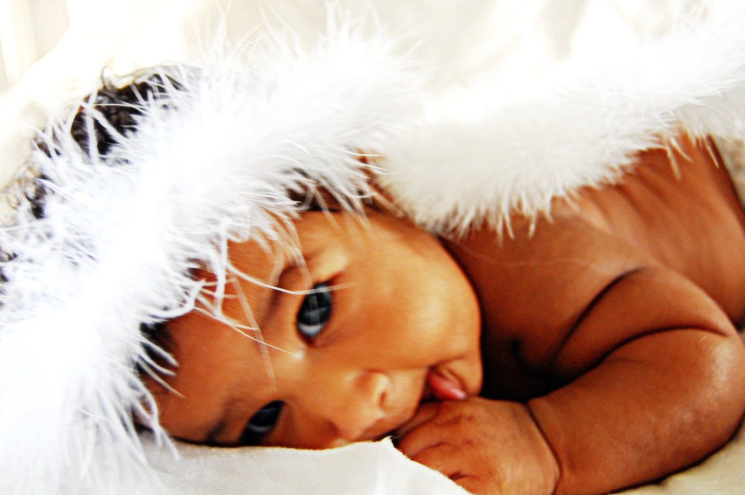 Photo Prop Adorable Feather Angel Wings Includes Free Halo READY TO SHIP