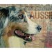 Australian Shepherd - DOG ART PRINT - an Original Signed Print by Wendy Presseisen - Grunge - Awesome Aussie