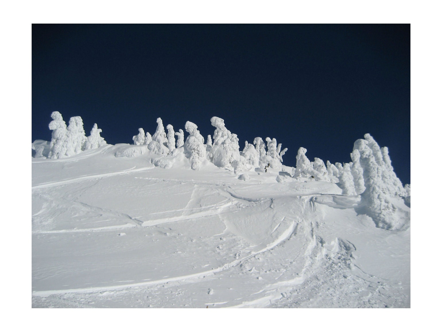 The Snow Postcard Set