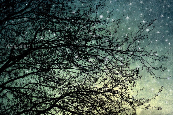 25% OFF SALE Starry Sky. Fine Art Photograph. Large Size Wall Art 24x36 Surreal abstract home decor. tree branches stars blue