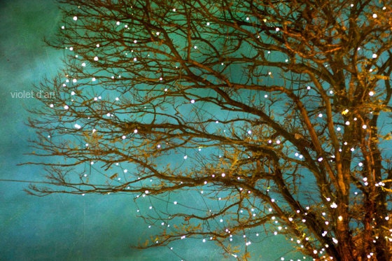 25% Off SALE Magical 16x24 Nature Photograph fine art. surreal large wall art. tree branches twinkle lights green teal blue