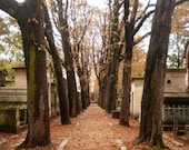 Photograph -- Paris - Autumn Path - Cimetiere du Pere Lachaise -- 20 x 15 cm / 8 x 6 in