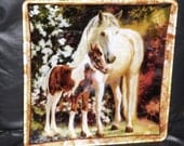 Horse, Mare and Foal, Horse Decorative Decoupage Glass Plate  10.5"  Square Platter, Horse Platter, Horse Decor, White Horse, Pinto Foal