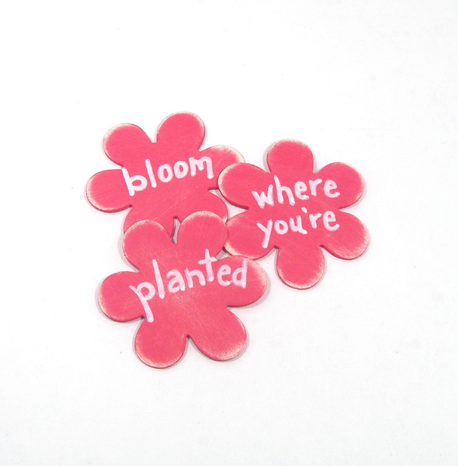 Shabby chic magnets. Bloom where you're Planted.