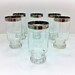 Silver Band Dorothy Thorpe Style J Engraved Glassware