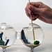Marimo Aquatic Terrarium - Japanese Moss Ball - Double Aquarium - Sea fan - Sand