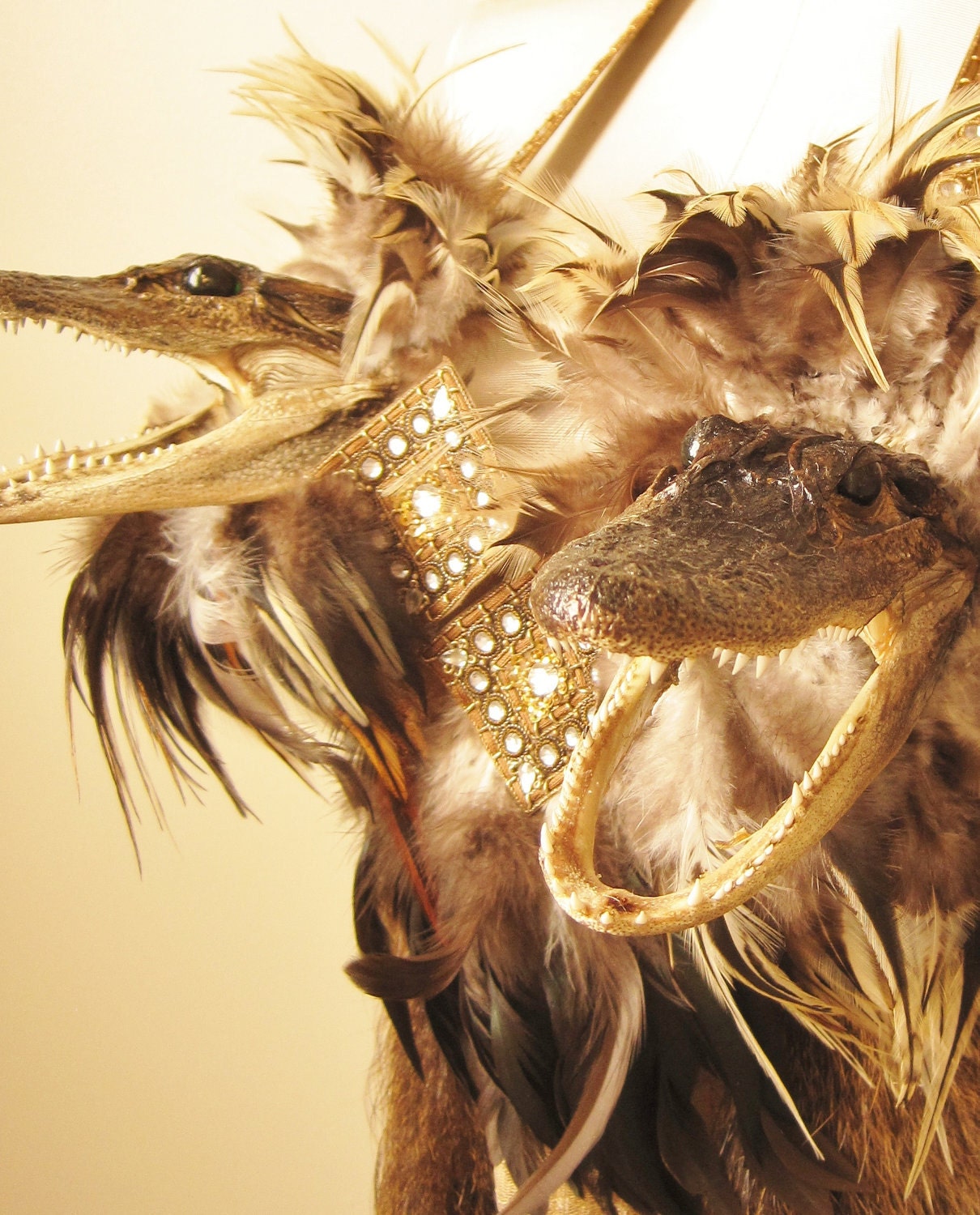 Alligator Head Bustier with Nutria Fur Panels