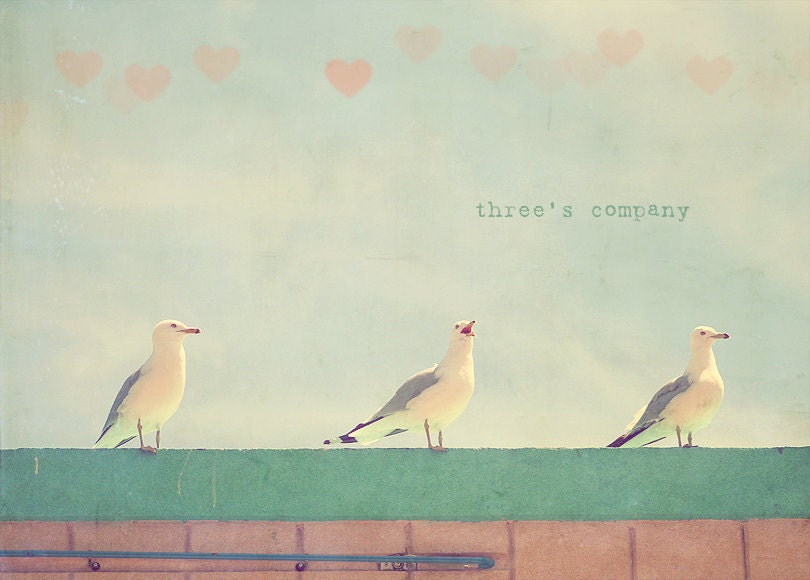 Seagulls Photo Art Print Birds Green Pink Rooftop - 8 x 10