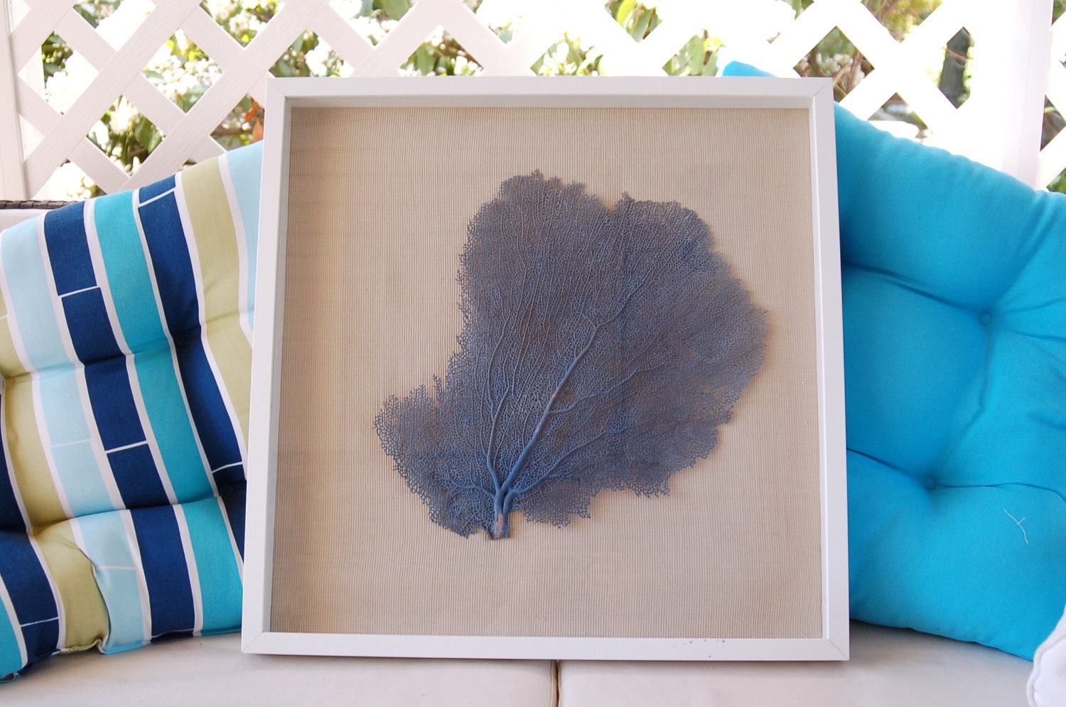 Framed Sea Fan - Coral Blue on Beige Fabric in white Shadow Box