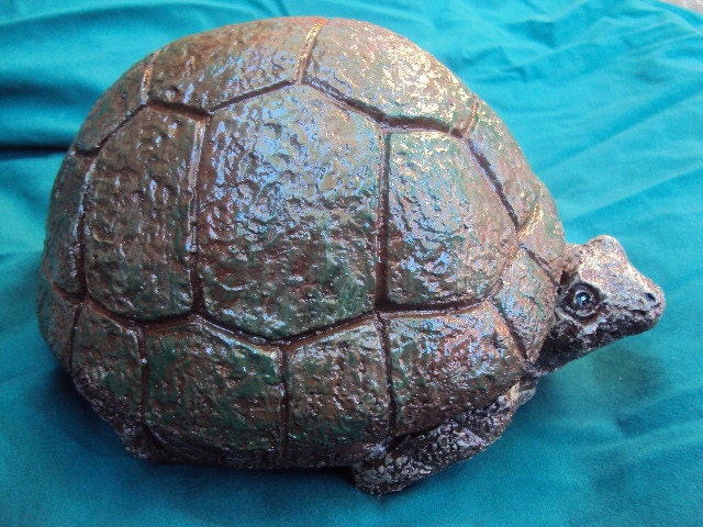 Special: Was 29.95, 21.95 Limited Time, Turtle Chubby, Light Weight Cement