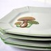Vintage Mushroom Plates Woodland Set of 4 Salad or Dessert Plates