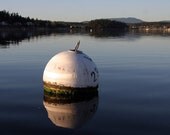 Calm Reflection Photo with Mat