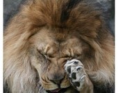 66. Awwwww.........2