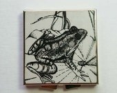 Vintage Women's Compact Double Mirror Square w/ Frog Image on Lid - Made in Japan