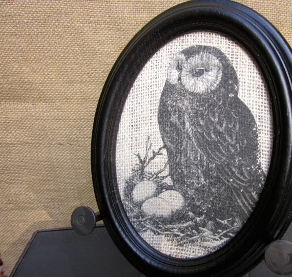 Owl Picture Black Oval Frame
