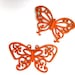 Butterfly Spring Orange Set