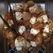 LEOPARD and FEATHERS MESH Wreath