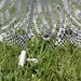 Wedding crochet umbrella 32''. Parasol. Brand-New.