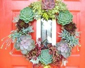 16" Succulent Living Wreath Perfect Unique Holiday Gift