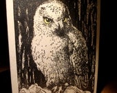Owl sees you and disapproves Card