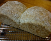 Plain Bread (gluten free and dairy free)