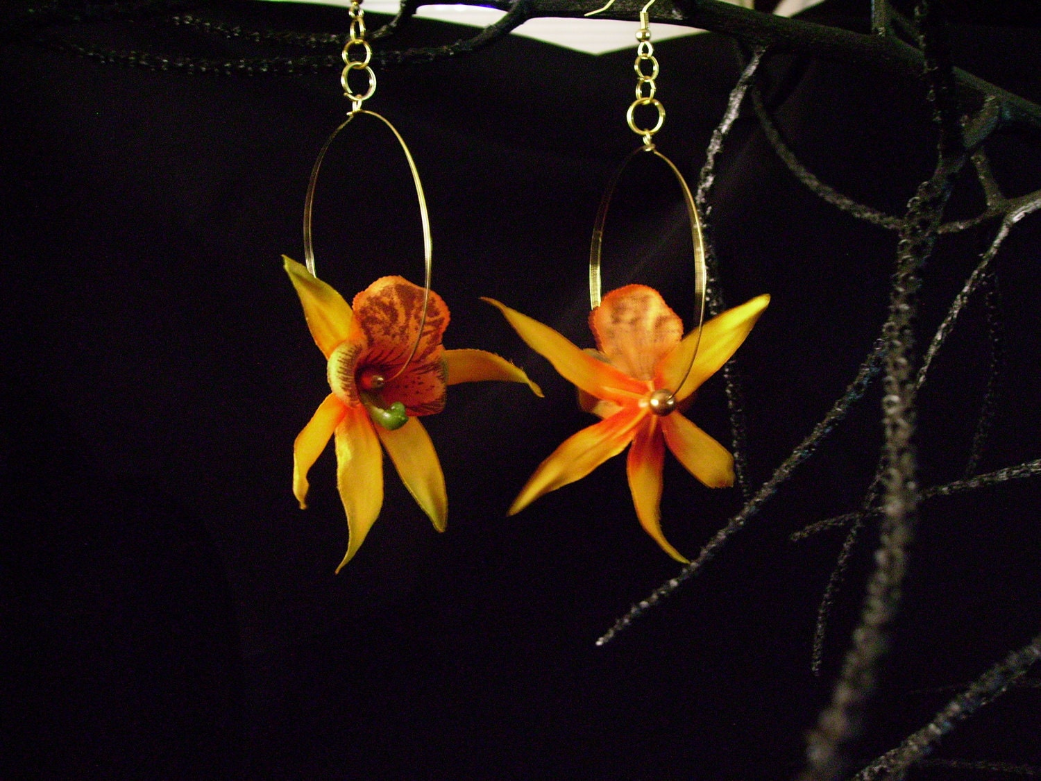 Orange Orchid ('Okika 'Alani)