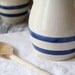 Vintage Farmhouse Pitcher and Butter crock - Robinson Ransbottom Stoneware