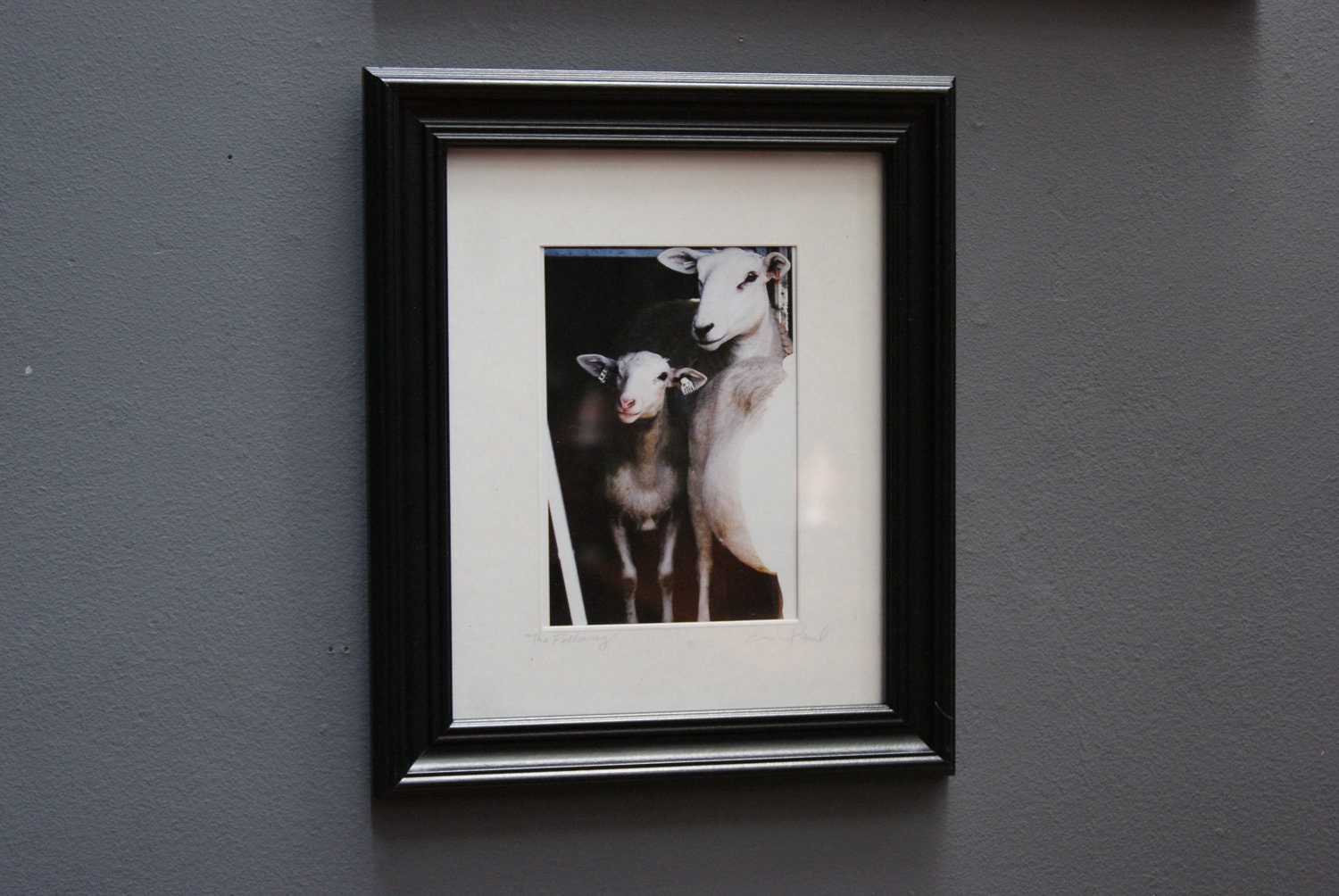 The Following, framed (8x10) and matted (5x7) original photograpy