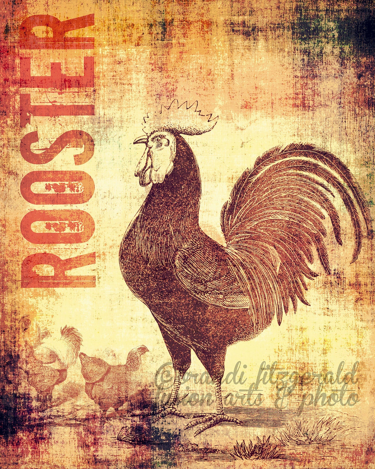 ROOSTER.  8" x 10"  Rustic Farm Rooster  Fusion Paintographic Fine Art Print