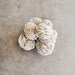 amazing selenite desert rose specimen