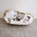 BIG tree quartz geode specimen