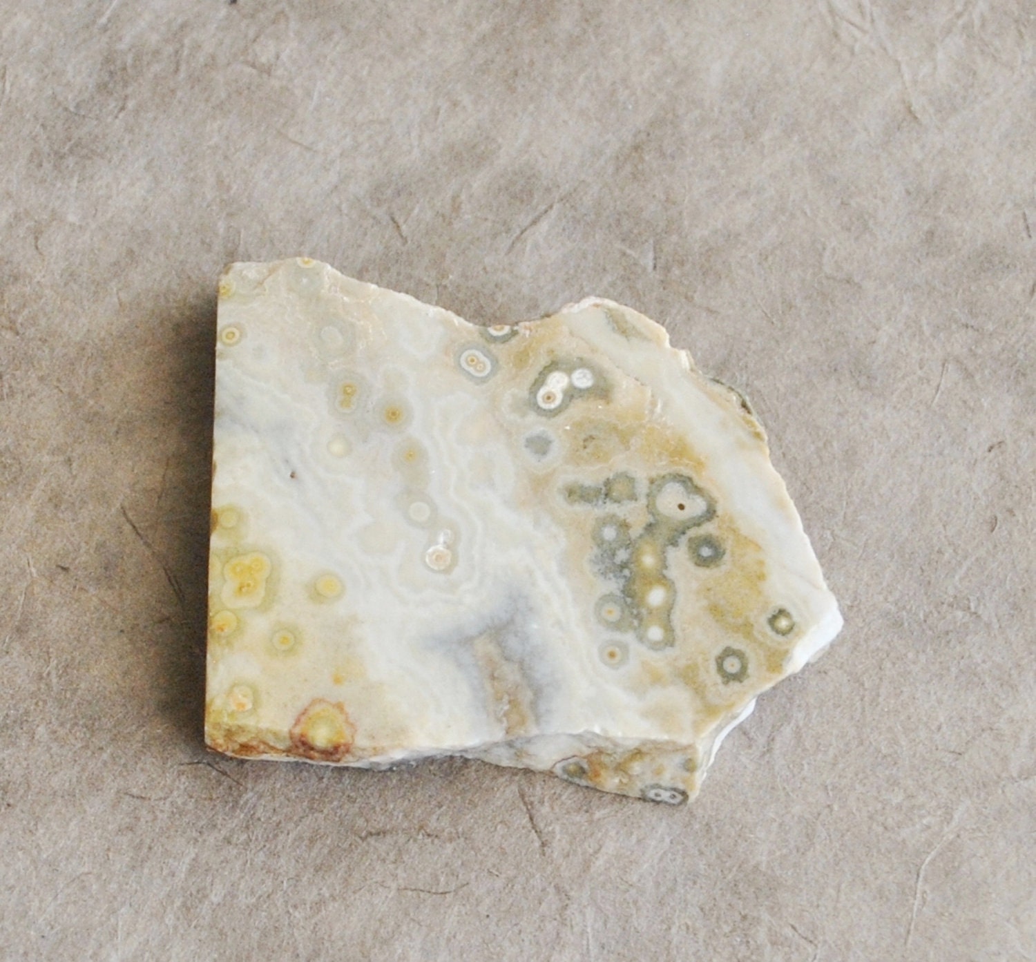 small orbicular jasper specimen from madagascar
