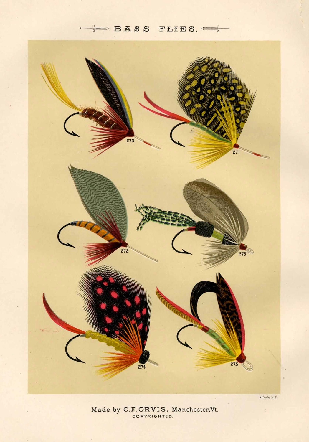 bass flies glorious fly fishing print no. 1