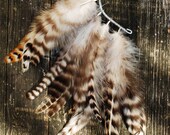 Feather Ear Cuff - Zebra