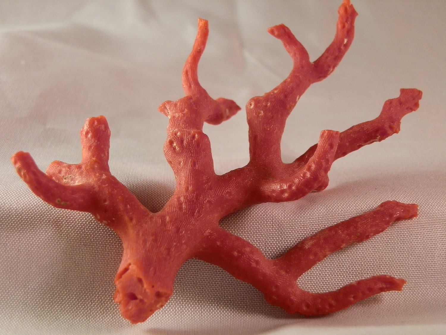 Real Red Coral Branch. Mediterranean. Beautiful vintage section. 86x77mm