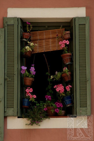 French window - Signed photo 8 x 12 - BOGO sale - flower pink purple green love mystery shutters france home decor spring