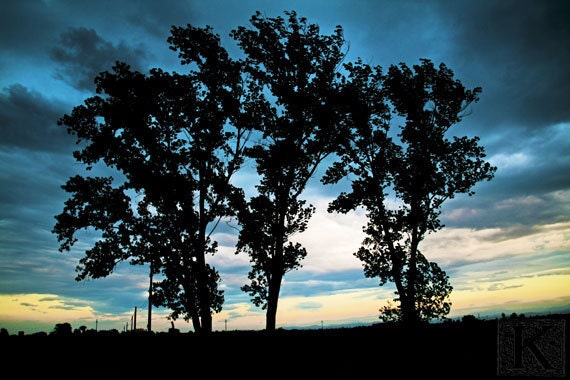 Before the storm - Signed photo 8 x 12 - BOGO sale - poplars italy countryside blue sky cloud landscape turquoise black wind home decor