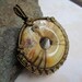 Wire Wrapped Crazy Lace Doughnut Pendant