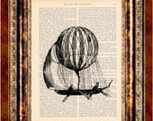 Steampunk HOT AIR BALLOON Vintage Art Print Antique 1800's Book Page or Dictionary Page Upcycled Recycled