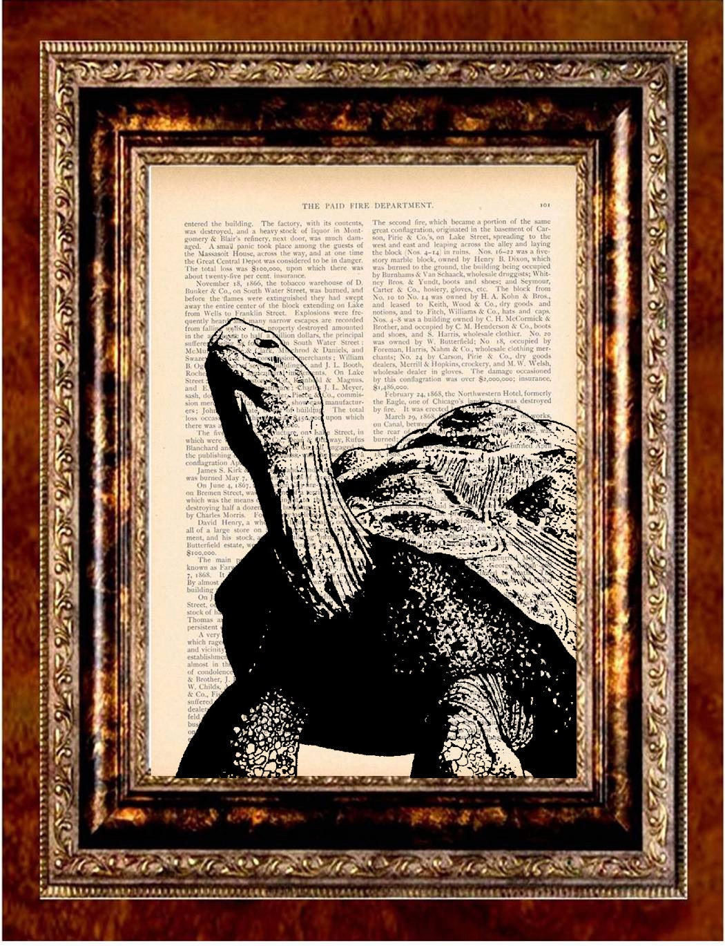 GALAPAGOS TURTLE Vintage Art Print Antique 1800's Book Page or Dictionary Page Upcycled Recycled