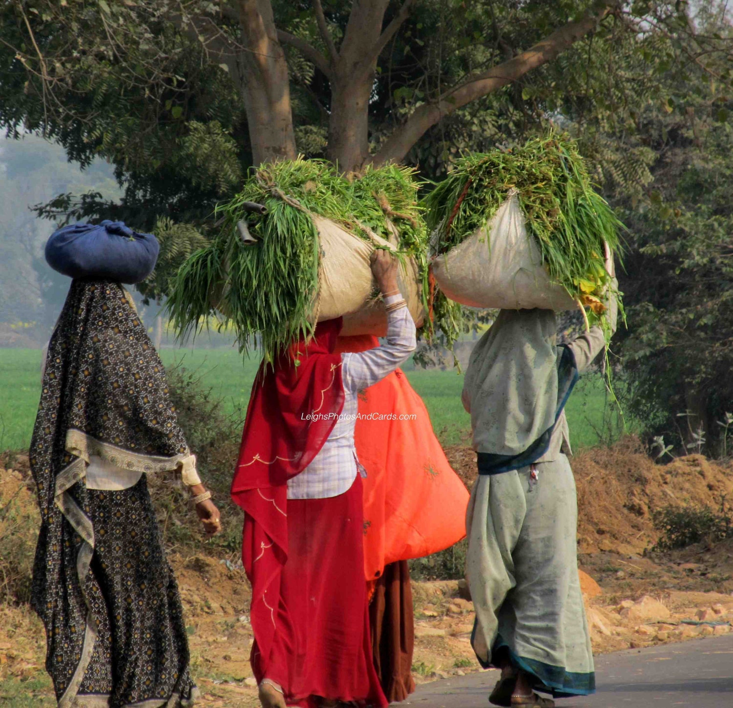 India Women Photograph Rural India Photo Art Photography Travel Photo 8x10