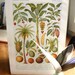 Vintage Botanical Prints 1933 Antique plant prints botanical prints bookplates art prints, flowers plants wall print wall art