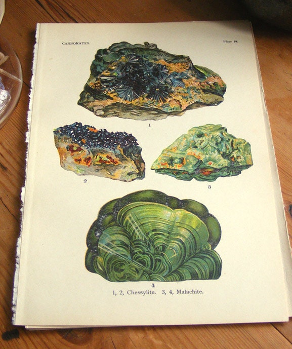 Vintage 1911 Minerals Print Antique Gems Precious Stones print gemstones print, bookplate art print, minerals wall print wall art