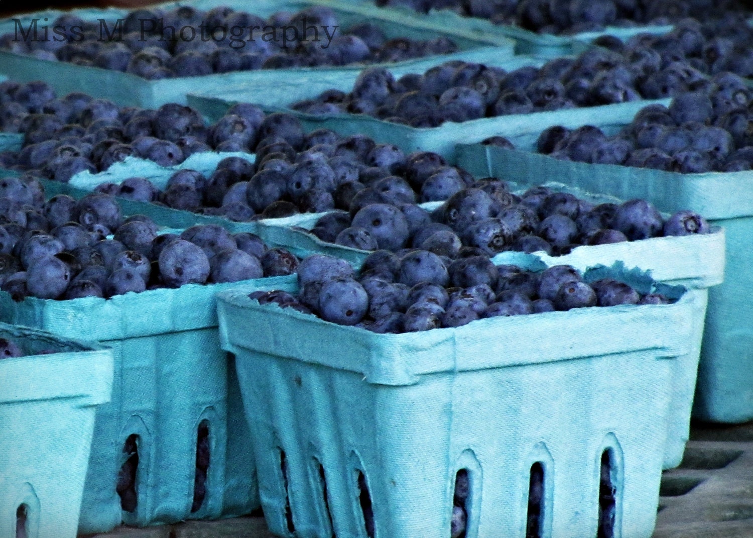 Blueberries Kitchen Art/Home Decor - True Blue - Original Fine Art Photograph - 5 x 7 Print