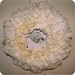 Coffee Filter Wreath