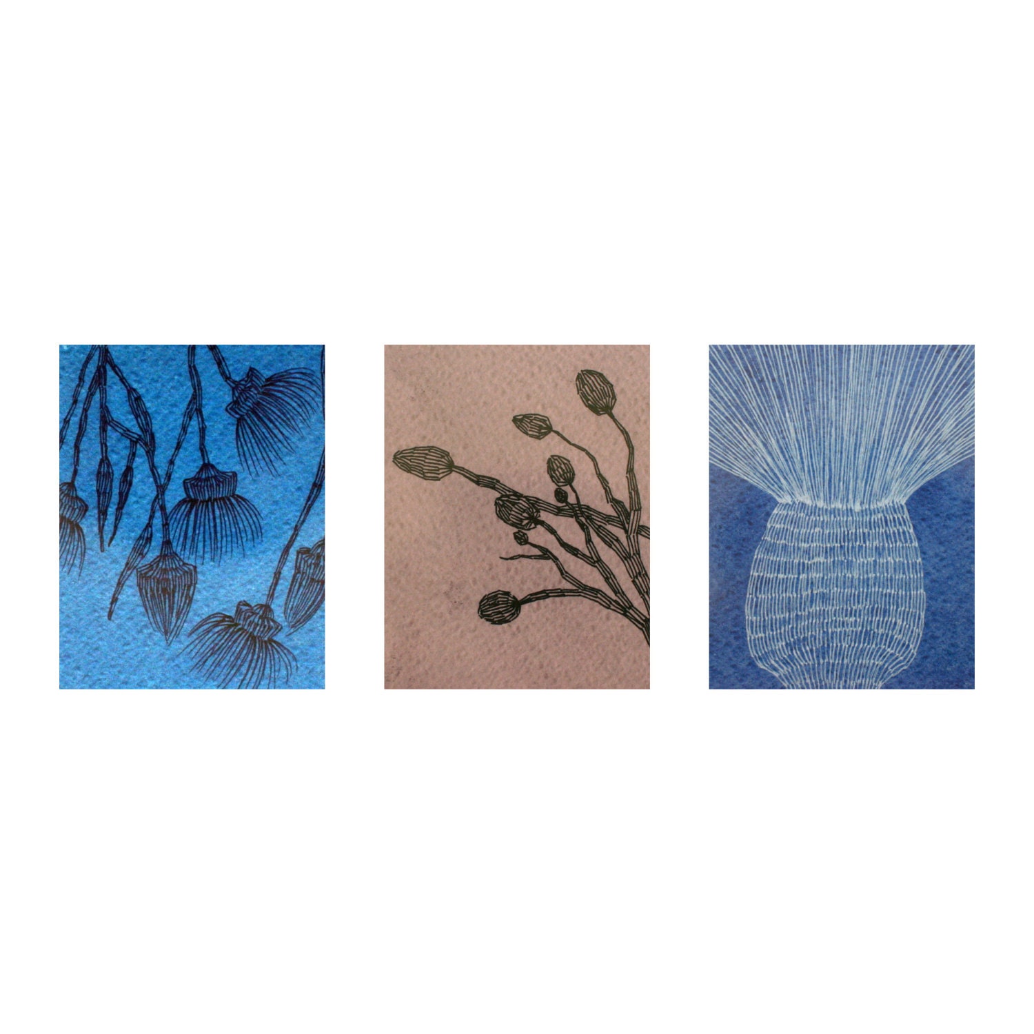 3 fine art postcards watercolor painting botanica flowers collection card pink blue gray